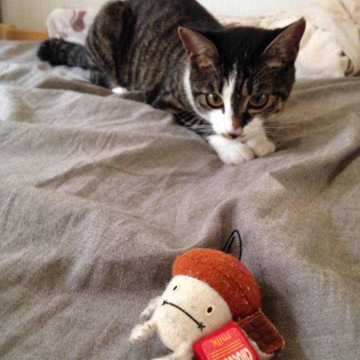 54fdf934 b7c8 49a0 81a8 c28276e41724