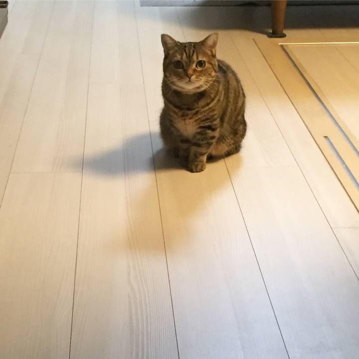 54fe0498 14f5 4805 803f 691ed1a36bea