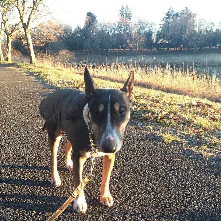 54fe5e2a 8e02 405a ab23 d492f492fdfb