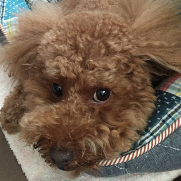 54fe7342 186e 4254 9205 e6aa1531be2f