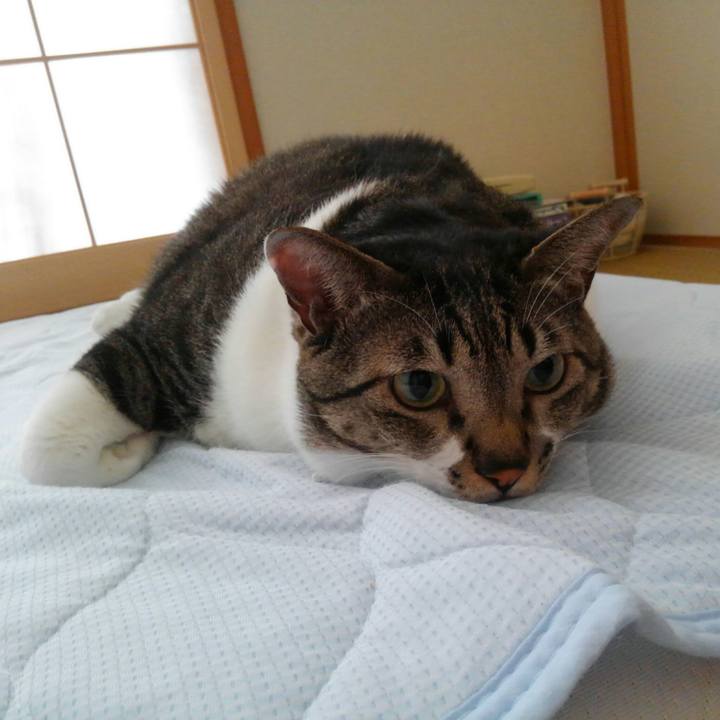 54ff0db2 5edf 4a72 9c08 7d5a7b52fcac