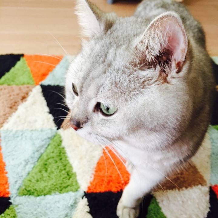 54ff1554 083a 4c32 9a5f a4235c476f8f