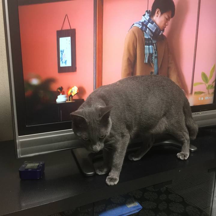 54ff7994 1805 47c2 ae91 6565121e7ca0