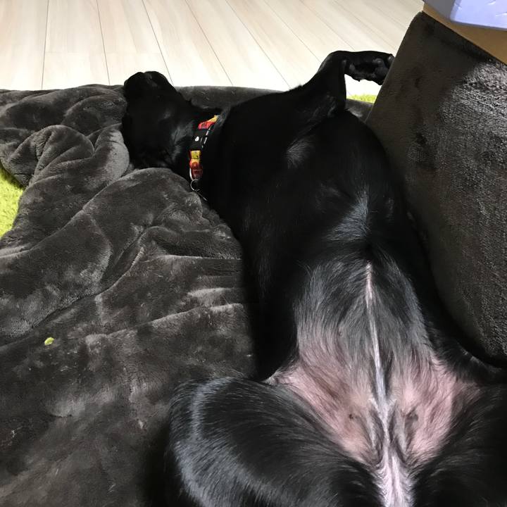 5500d021 a9a8 4ee4 a83b 047182343f53