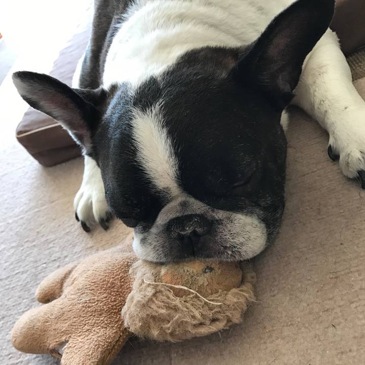 55017590 6601 4d6b 9e60 e267ee12d061