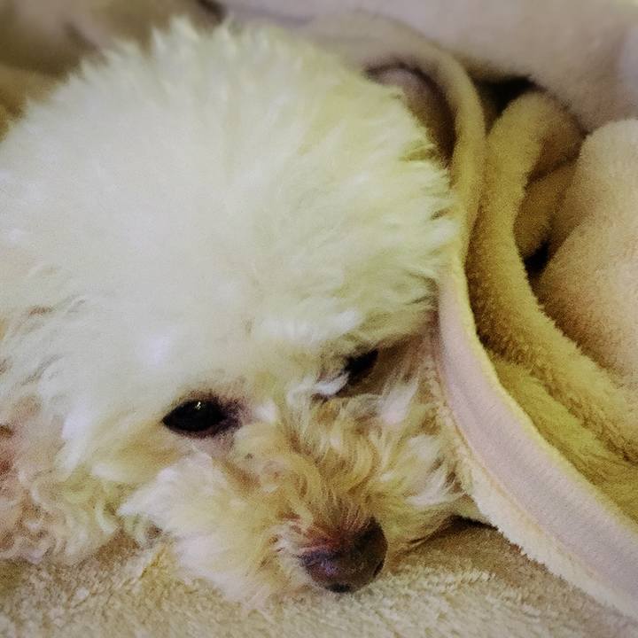 5501930b 0713 4b16 a72a 90f19467e410