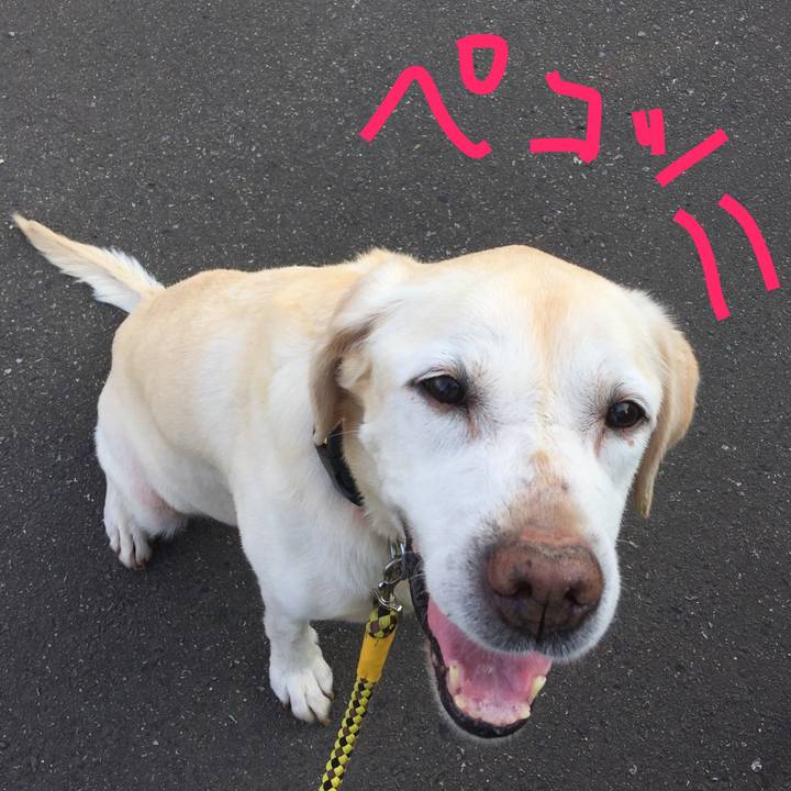 5501c8ee c1e5 4746 9079 660f27d5e49d