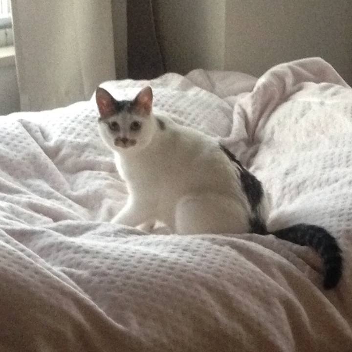 5501d1ff 5b88 4415 8e92 ef0c6b63f942