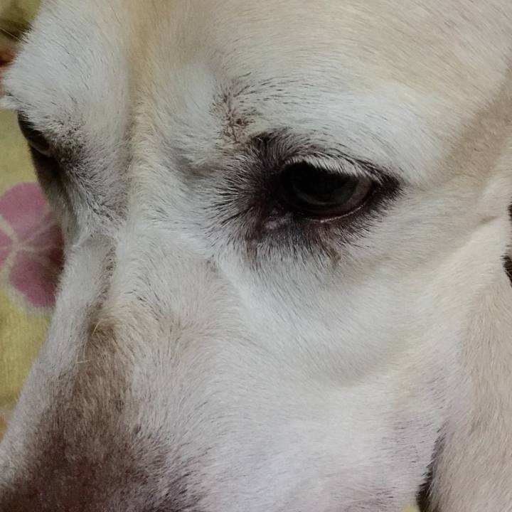 55025bb3 09ba 4214 a1c2 96108c0c5c76