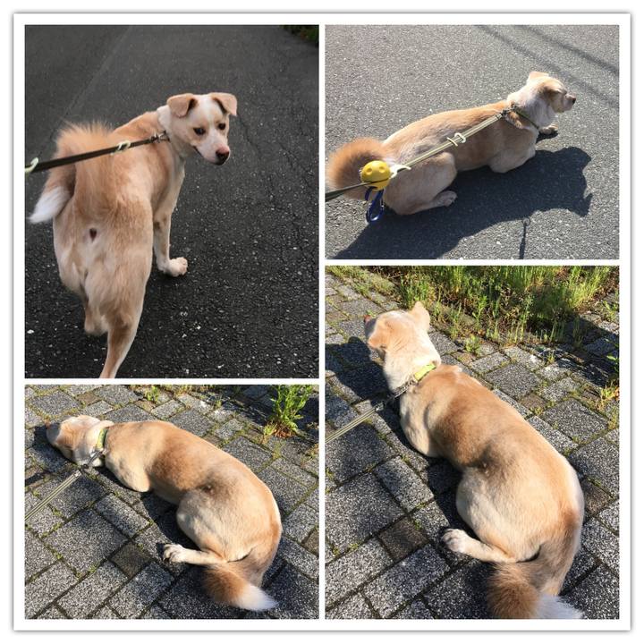 5502eae6 cbf8 4367 badc c1579a0b1050