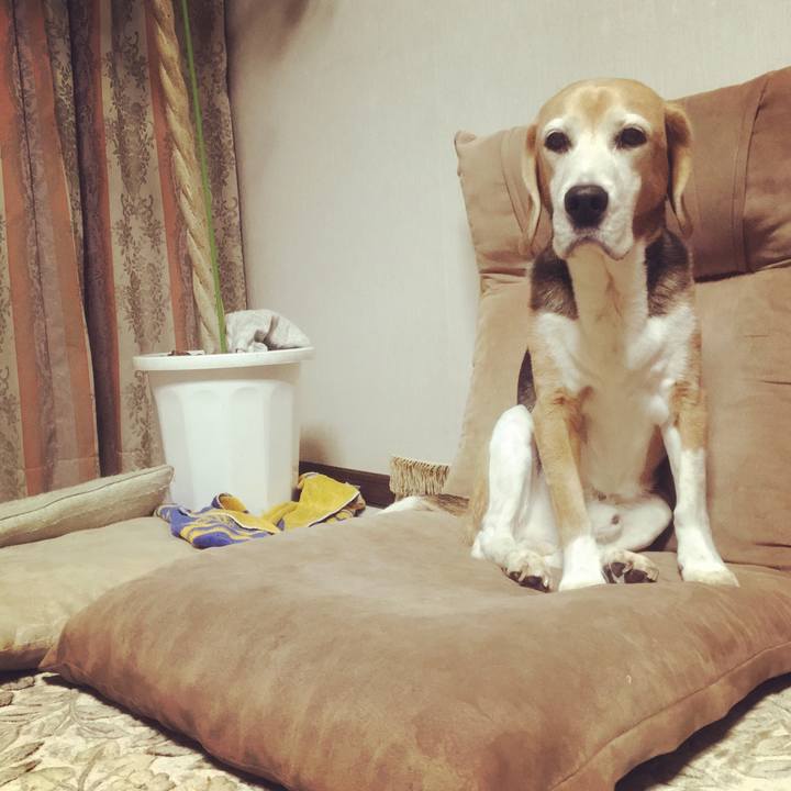 55039f9c e076 46bd b735 ae9b05884658