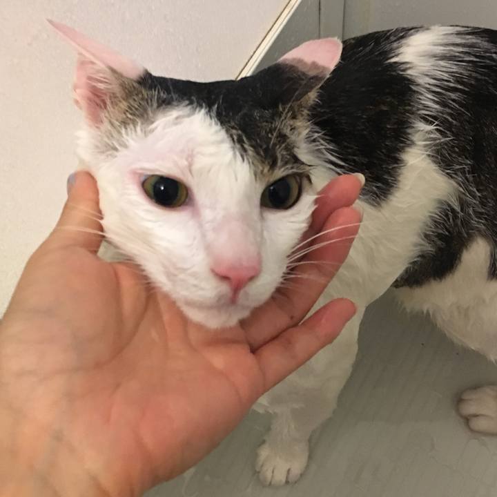 55044c5b 4d4b 4b6c a0cb 56f02ecfb41a