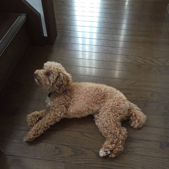 5504837d b773 4671 942b e7c538adff79