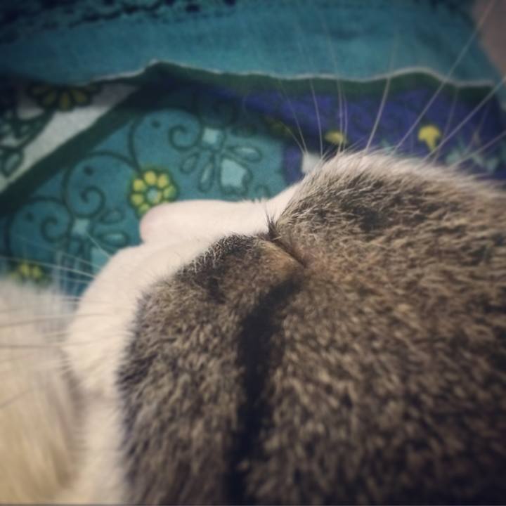 5504bbcb 2151 492a 8cd4 a34d77c8967d