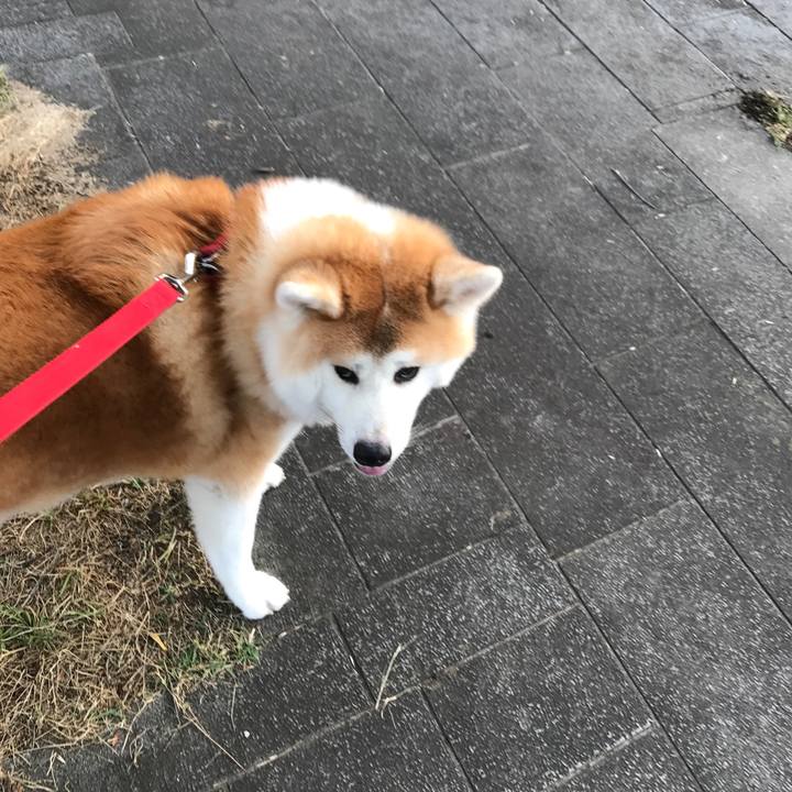 5506fb2f 0a29 40d5 b605 55d324deefb5