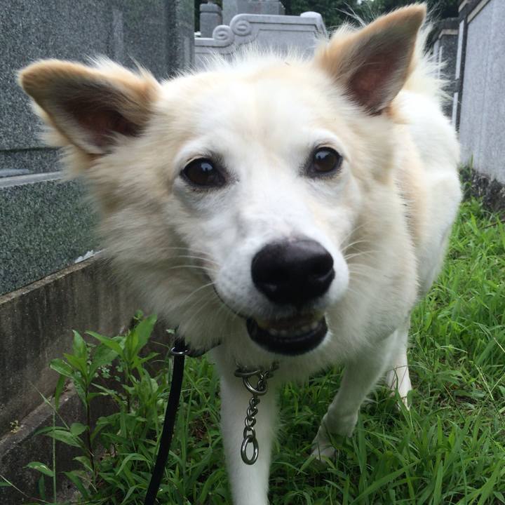 55071347 fec2 4b3a 82f1 4d3a7df5722b