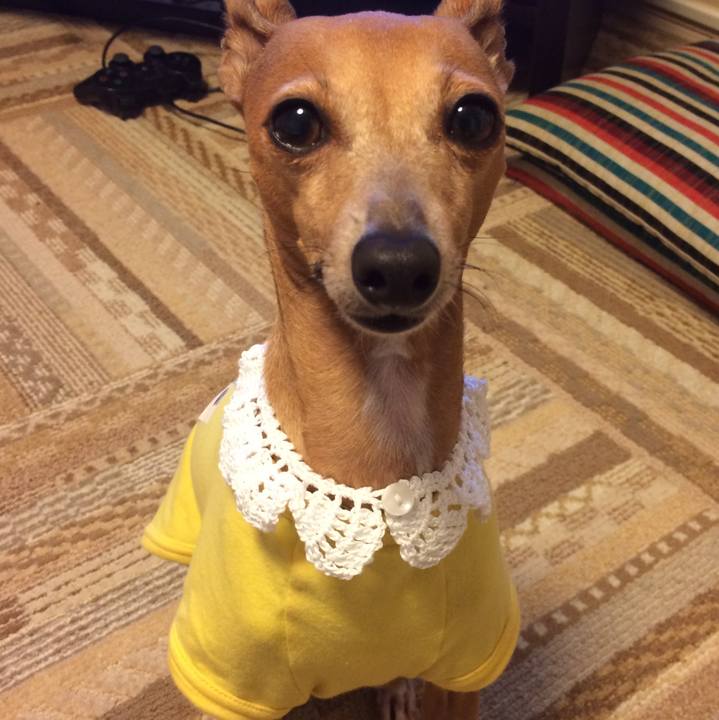 55074a04 45ec 475d a513 d0c77004807d