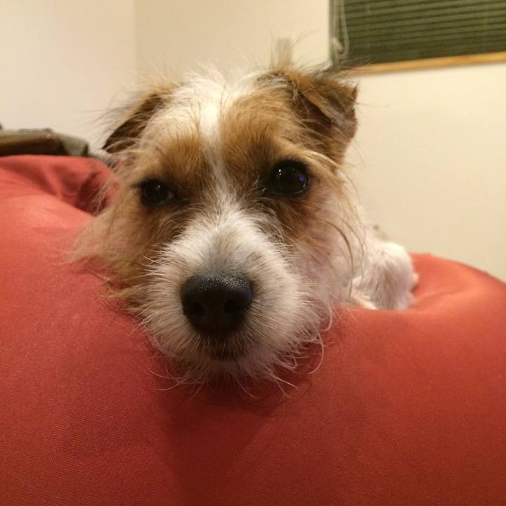 55076bfe c734 403e a6d2 a61f3fb3cc8f