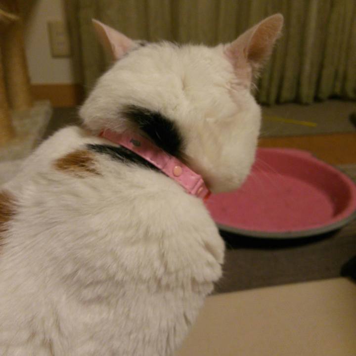 5507996d 8c95 495a 9f69 b78b02ea439e