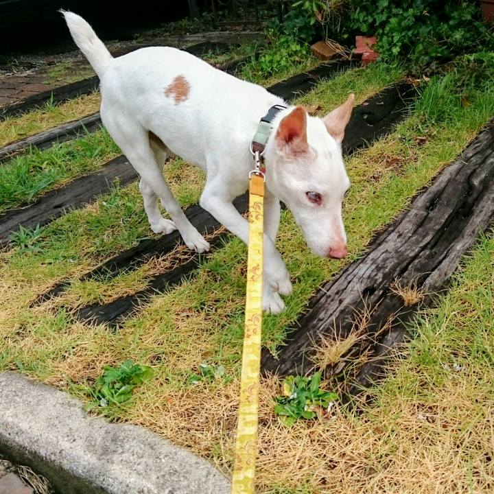 550823c9 fead 4429 ab6f 5ffec8ad7431