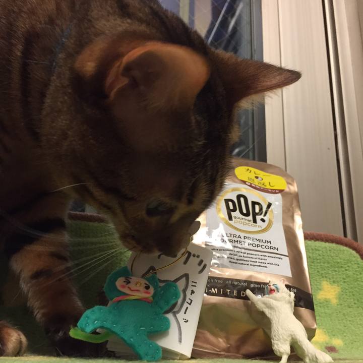 550a3c6f bfc3 47e1 b145 a6567592b1b9