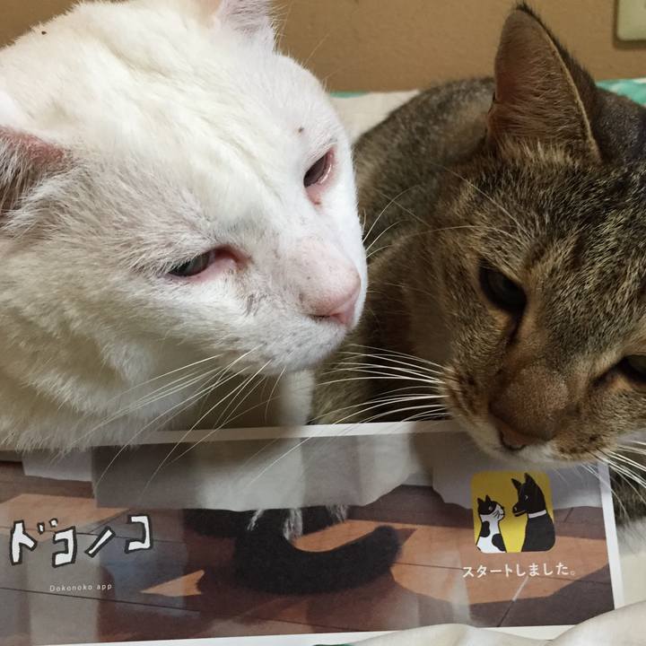 550aa401 c220 4cc0 bd01 5b5c5e3ca00c