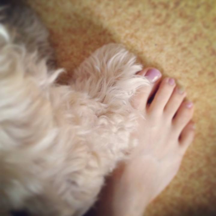 550b4a32 5585 49c5 a9e7 8d147b485274