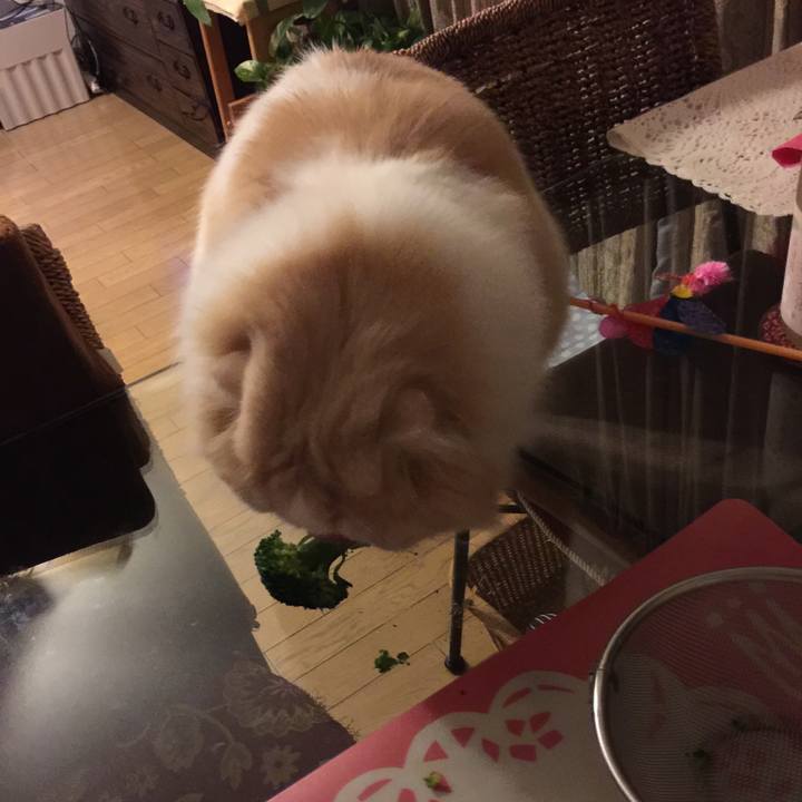 550bcef0 47fb 4046 8108 d8b9a2016c25