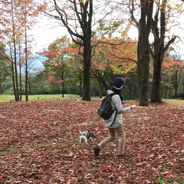 550cc9f1 eba5 4f9c 99d2 8e4c1b236767