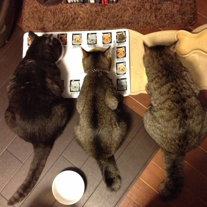 550d15f4 f36e 4af0 be64 1549f3f7d857