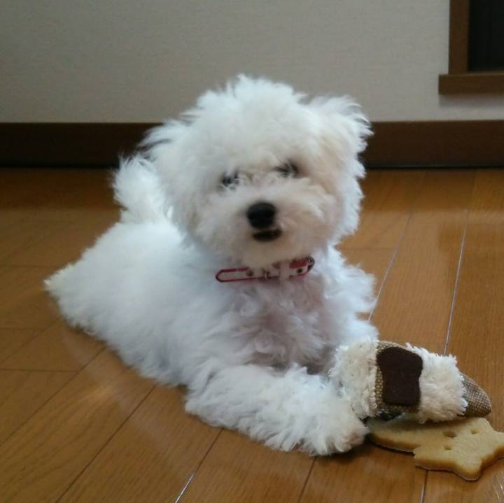 550d5df3 124d 4f5e 8819 a007ce349b86