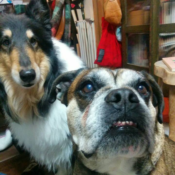 550ee5a1 d08a 4cf4 94ce 2f73cda1166a