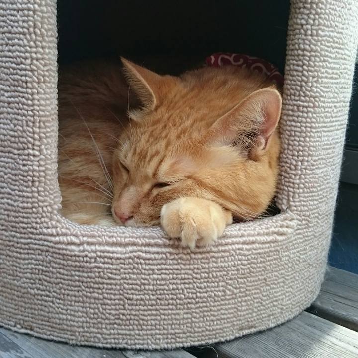 550eed0e e6b5 4d18 9bc2 4b9b79ec9b22