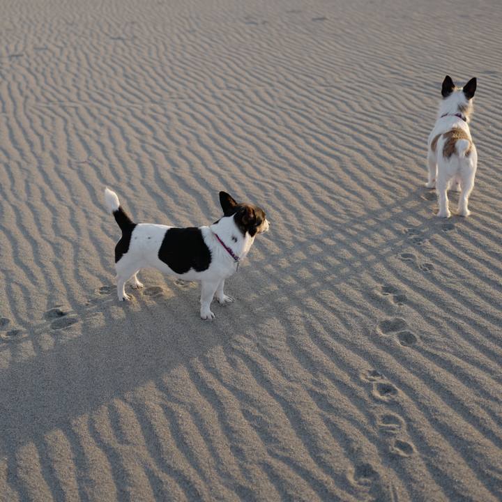 550ef41a dfac 4ea0 9f54 1cdde1de9669