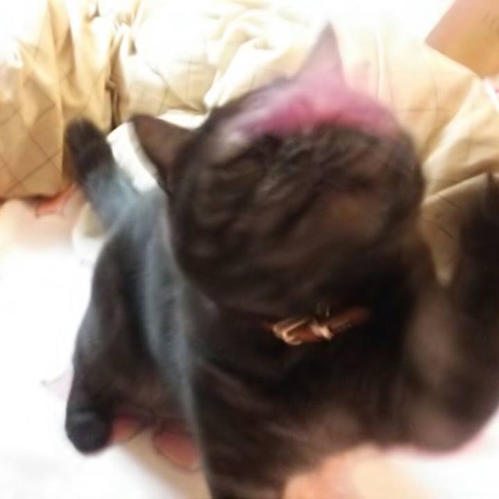 55107313 8887 47e5 b1b4 8f77c3ba1f9e