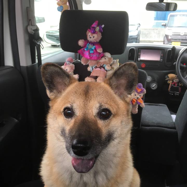 55109c27 18ed 436d 80ac fc3e5266acd2