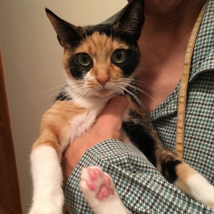 5510abe1 5706 4844 a797 c3b62def7132