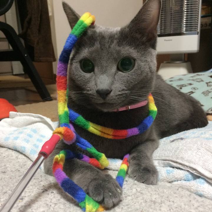 5510ecbe 543e 4bd1 b5fb d0cdd5b3f654