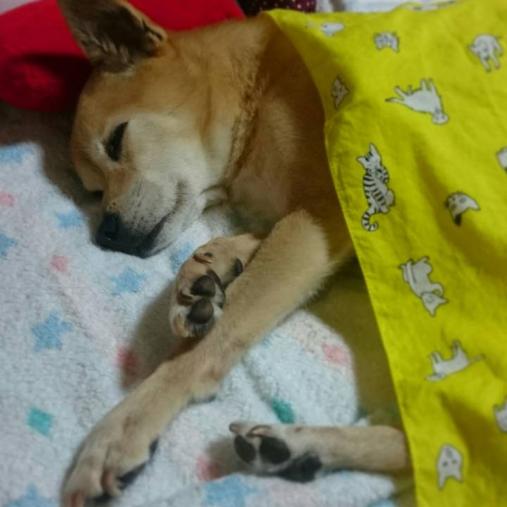 55114698 f3be 4322 89e3 957821244cb7