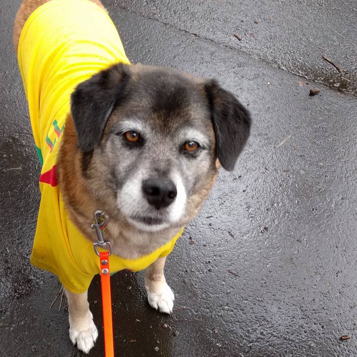 5511cc9d e72b 4903 94aa 8a187374a204