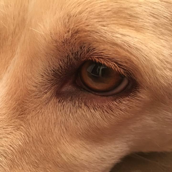 55124072 2384 4875 bf5c b53ee252b6b4