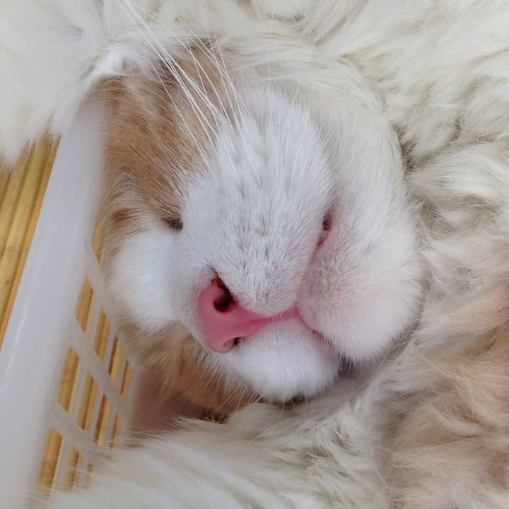 55125b59 b813 45f8 9fd7 f040429c04e7