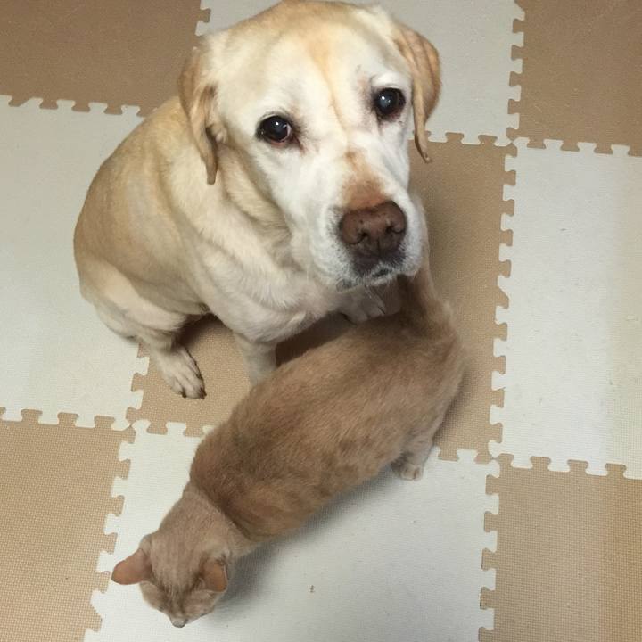 5512cbf6 396d 42f3 9835 c022f1da6ef9