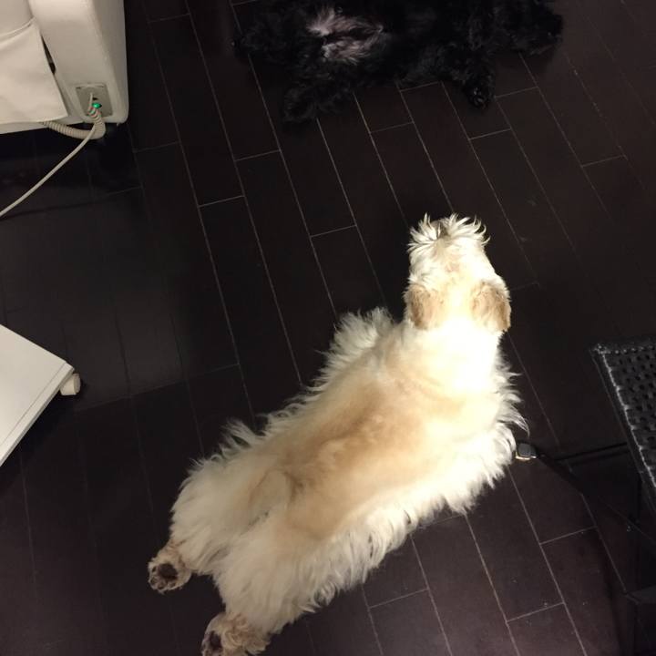 5512e7cd 938a 4d80 b65c 0bc33c088a7d