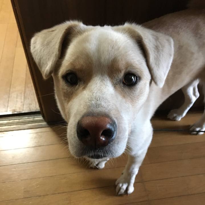 551353c2 6878 411d 86e0 2d0426db476d