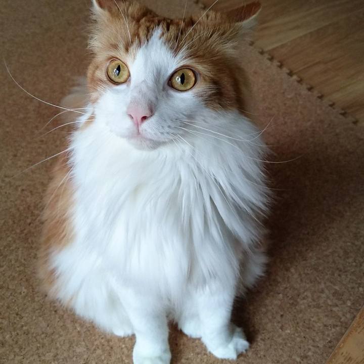 55137264 8517 4bac 91d5 7f854e82aa42