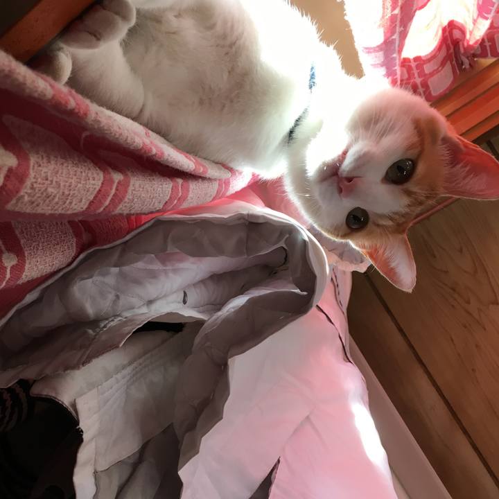 5514237f 000e 4a22 9dc1 179e4c72933f