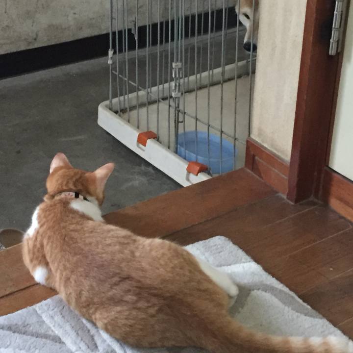 551441e6 e36f 4913 bfc0 550c731693c2