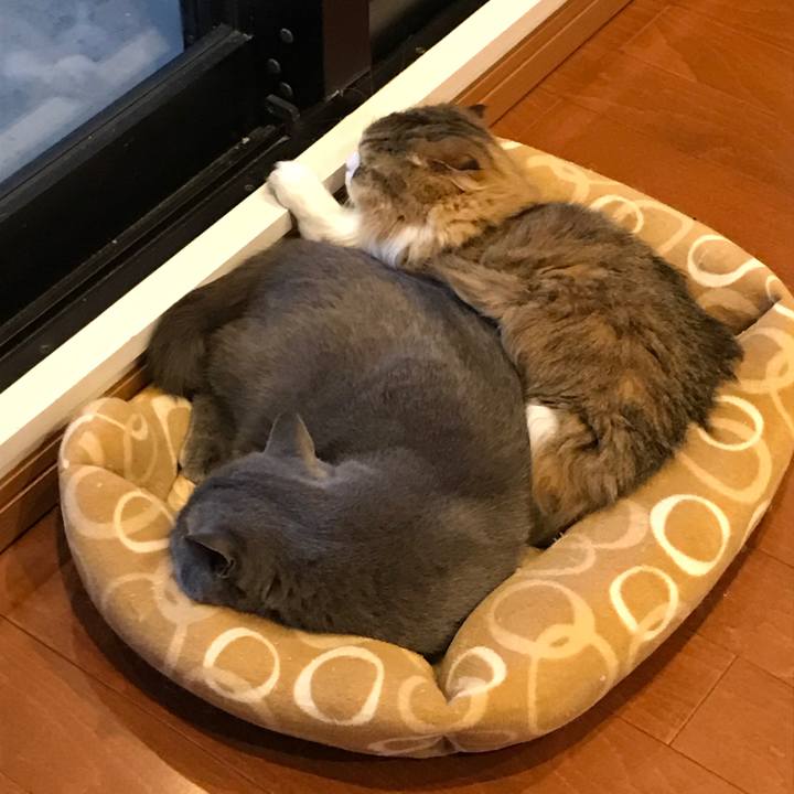 551571d2 dc37 4099 bfbb aaabed304295