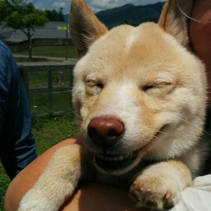 55166dab 2f6b 4367 89b4 e659c0c724ab